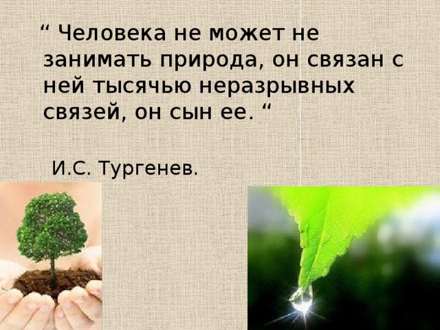  “ Человека не может не занимать природа, он связан с ней тысячью неразрывных связей, он сын ее. “  И.С. Тургенев.  