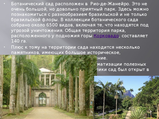 Ботанический сад расположен в Рио-де-Жанейро. Это не очень большой, но довольно приятный парк. Здесь можно познакомиться с разнообразием бразильской и не только бразильской флоры. В коллекции ботанического сада собрано около 6500 видов, включая те, что находятся под угрозой уничтожения. Общая территория парка, расположенного у подножия горы  Корковадо , составляет 140 га. Плюс к тому на территории сада находится несколько памятников, имеющих большое историческое, художественное и культурное значение. Ботанический создавался для акклиматизации полезных культур. Для широкой публики сад был открыт в 1822 г. 