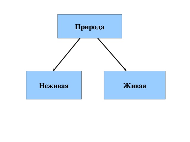 Схема живой и неживой природы