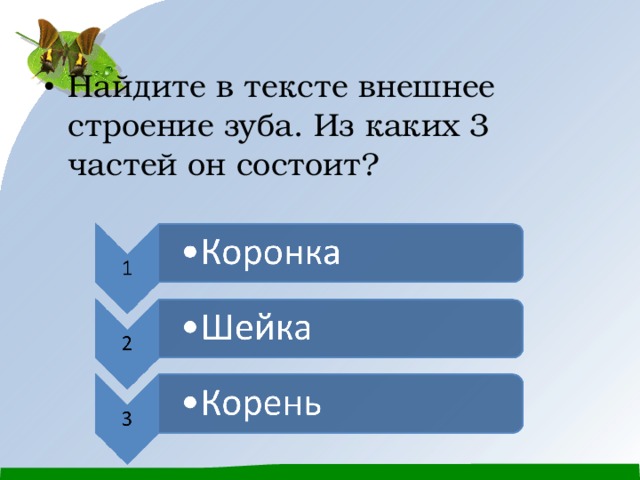 Найдите в тексте внешнее строение зуба. Из каких 3 частей он состоит? 