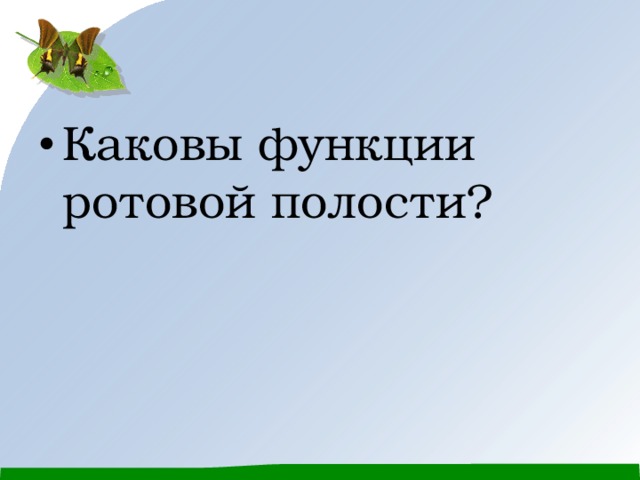 Каковы функции ротовой полости? 