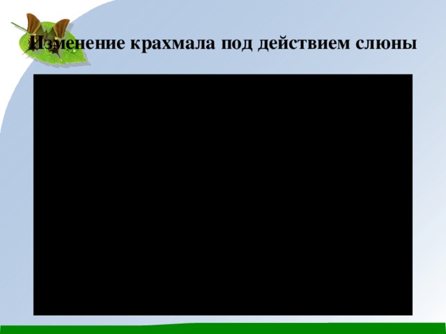 Изменение крахмала под действием слюны 