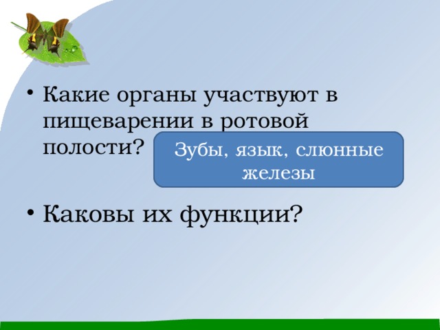 Какие органы участвуют в пищеварении в ротовой полости?  Каковы их функции? Зубы, язык, слюнные железы 