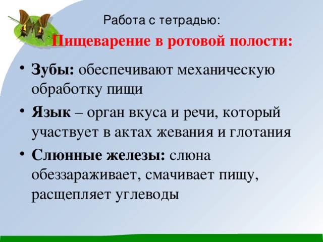 Работа с тетрадью: Пищеварение в ротовой полости: Зубы: обеспечивают механическую обработку пищи Язык – орган вкуса и речи, который участвует в актах жевания и глотания Слюнные железы: слюна обеззараживает, смачивает пищу, расщепляет углеводы 