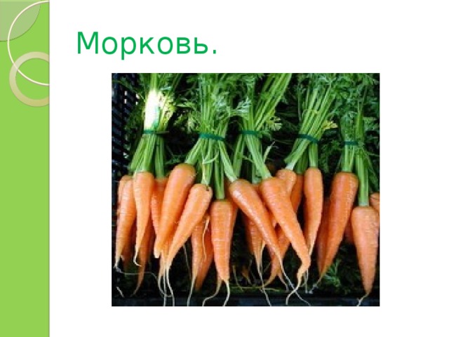 Морковь. 