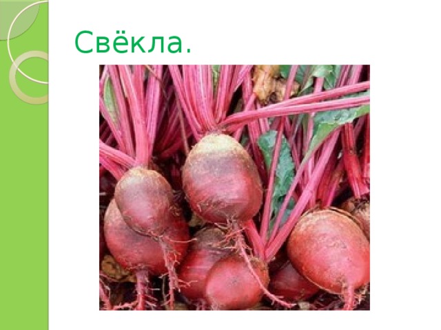 Свёкла. 