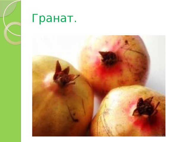 Гранат. 