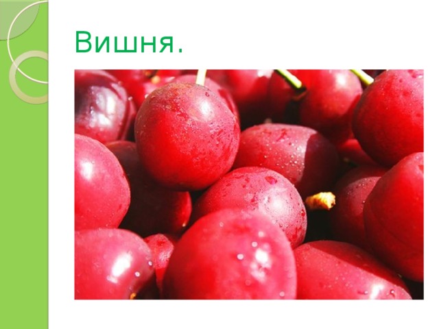 Вишня. 