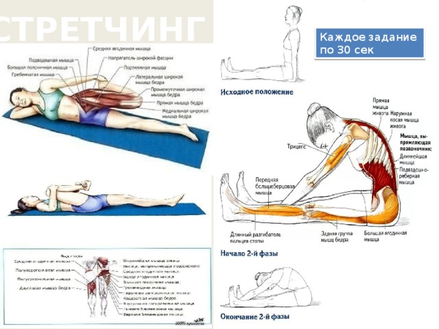 СТРЕТЧИНГ Каждое задание по 30 сек 