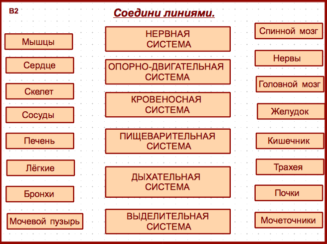 Карточка пср проекта состоит из 4 блоков