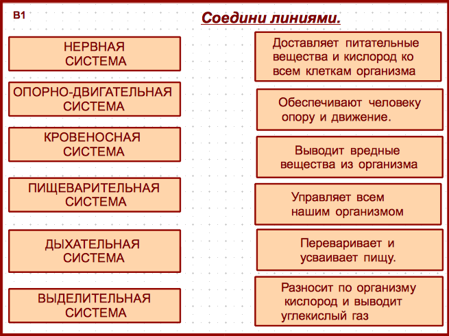 Карточка пср проекта состоит из 4 блоков