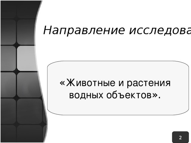 Направление исследования:  « Животные и растения водных объектов ». 2 