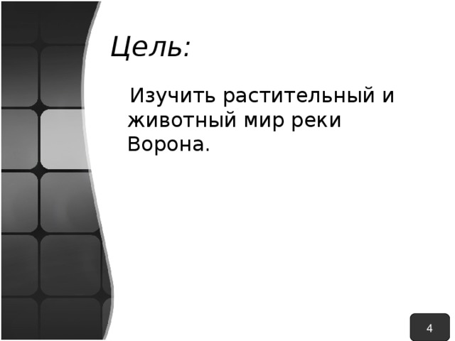 Цель:  Изучить растительный и животный мир реки Ворона. 4 