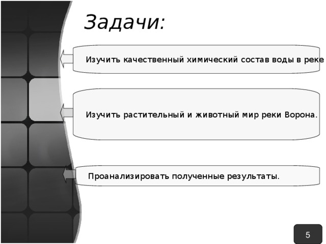 Задачи: Изучить качественный химический состав воды в реке Ворона. Изучить растительный и животный мир реки Ворона.  Проанализировать полученные результаты. 5 