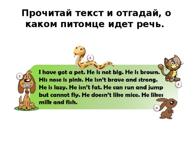 Прочитай текст и отгадай, о каком питомце идет речь. 