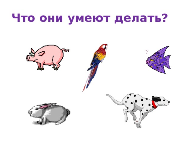 Что они умеют делать? 