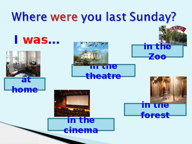 I was … in the Zoo in the theatre  at home in the forest in the cinema 