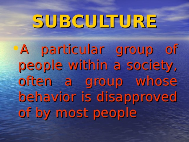 SUBCULTURE A particular group of people within a society, often a group whose behavior is disapproved of by most people 