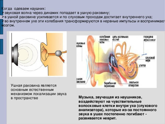 «Влияние наушников на слух человека».