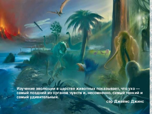 Изучение эволюции в царстве животных показывает, что ухо — самый поздний из органов чувств и, несомненно, самый тонкий и самый удивительный. сэр Джеймс Джинс 