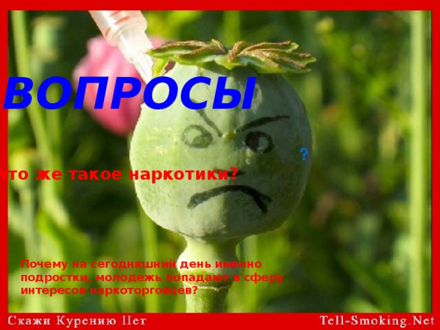 ВОПРОСЫ  ? А что же такое наркотики? Почему на сегодняшний день именно подростки, молодежь попадают в сферу интересов наркоторговцев? 