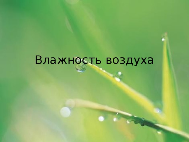 Влажность воздуха 