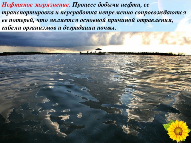 Нефтяное загрязнение. Процесс добычи нефти, ее транспортировка и переработка непременно сопровождаются ее потерей, что является основной причиной отравления, гибели организмов и деградации почвы. 