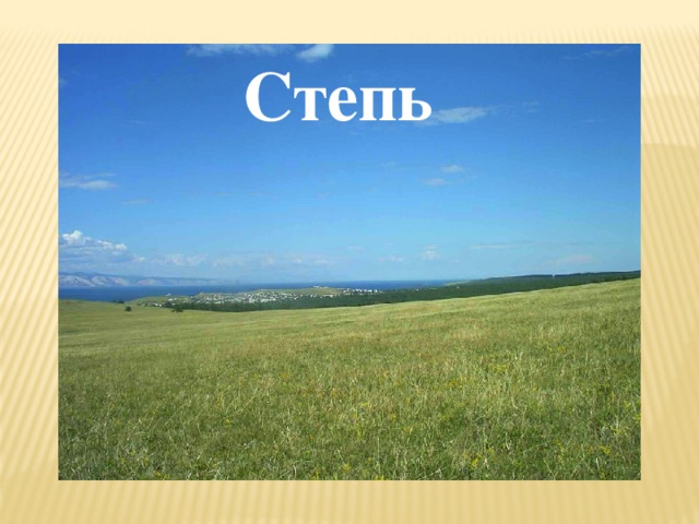 Степь 