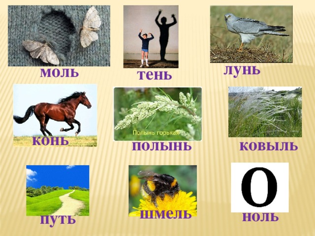 лунь моль тень конь полынь ковыль шмель ноль путь 