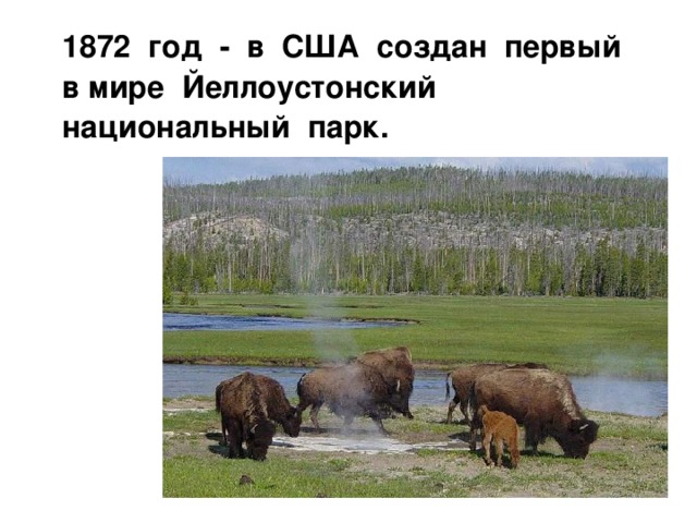  1872 год - в США создан первый в мире Йеллоустонский национальный парк. 