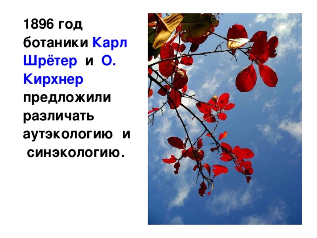  1896 год ботаники Карл Шрётер и О. Кирхнер предложили различать аутэкологию и синэкологию. 