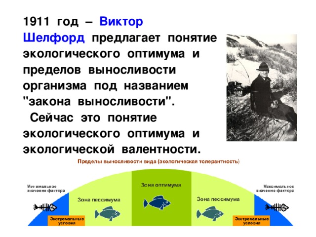  1911 год – Виктор Шелфорд предлагает понятие экологического оптимума и пределов выносливости организма под названием 