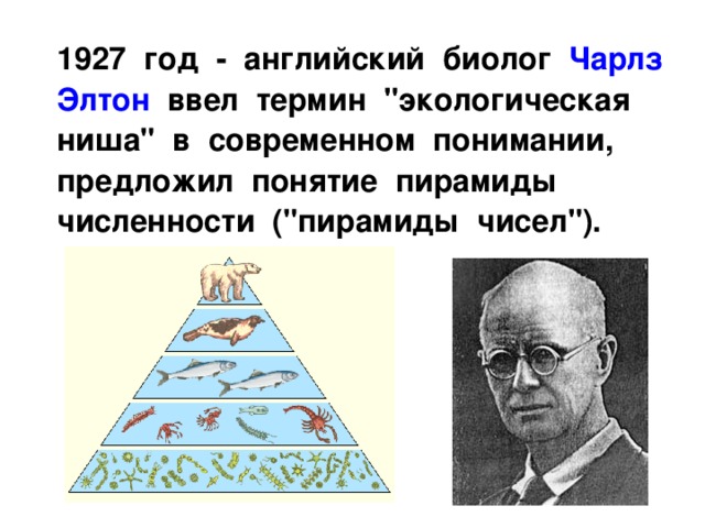  1927 год - английский биолог Чарлз Элтон ввел термин 