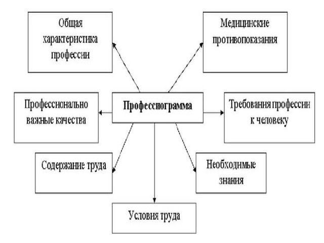 Схема профессиограммы повара