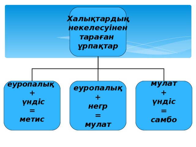 Халықтардың  некелесуінен тараған ұрпақтар еуропалық +  үндіс = метис  еуропалық + негр = мулат мулат + үндіс = самбо  