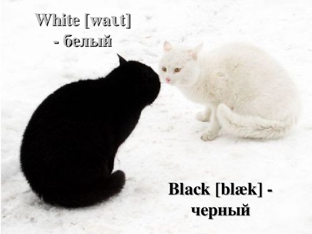 White [wa ι t] - белый Black [blæk] - черный 