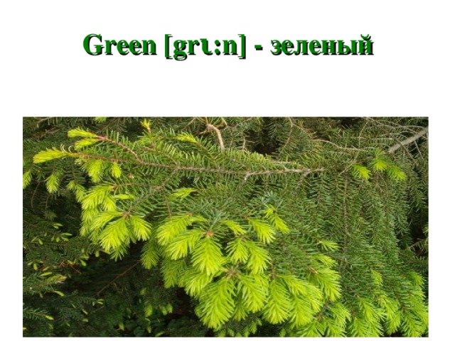 Green [gr ι :n] - зеленый 