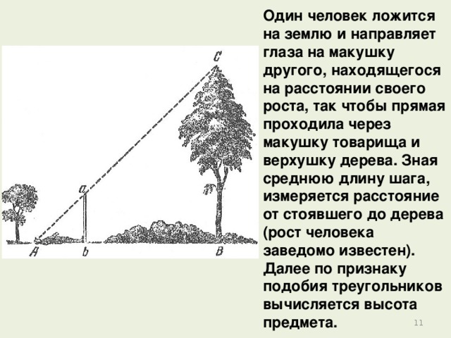 Один человек ложится  на землю и направляет глаза на макушку другого, находящегося  на расстоянии своего роста, так чтобы прямая проходила через макушку товарища и верхушку дерева. Зная среднюю длину шага, измеряется расстояние от стоявшего до дерева (рост человека заведомо известен). Далее по признаку подобия треугольников вычисляется высота предмета. 6 