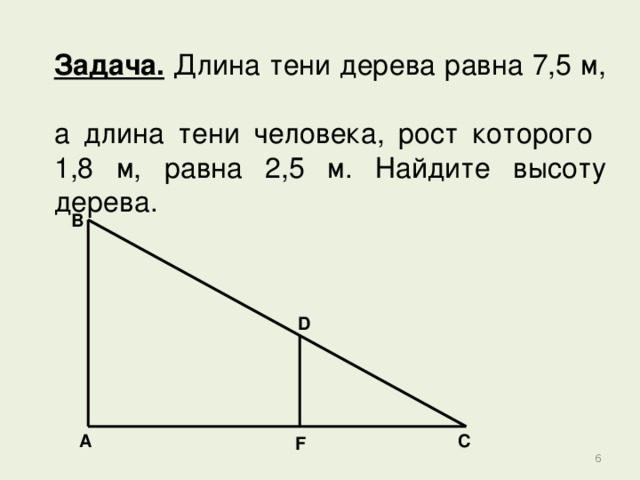 Найдите высоту дерева