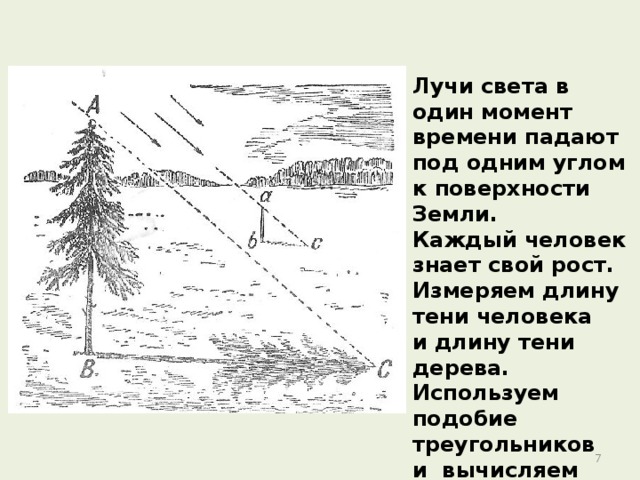 Дальше схема. Под каким углом падает тень. Длина падающей тени. Длина тени луча это. Зная свой рост h и измерив длину тени.