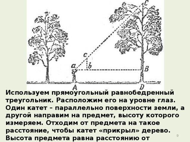 Используем прямоугольный равнобедренный треугольник. Расположим его на уровне глаз. Один катет – параллельно поверхности земли, а другой направим на предмет, высоту которого измеряем. Отходим от предмета на такое расстояние, чтобы катет «прикрыл» дерево. Высота предмета равна расстоянию от человека до основания предмета(прибавив рост человека). 6 