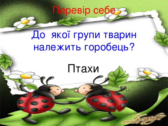   Перевір себе   До якої групи тварин належить горобець? Птахи 