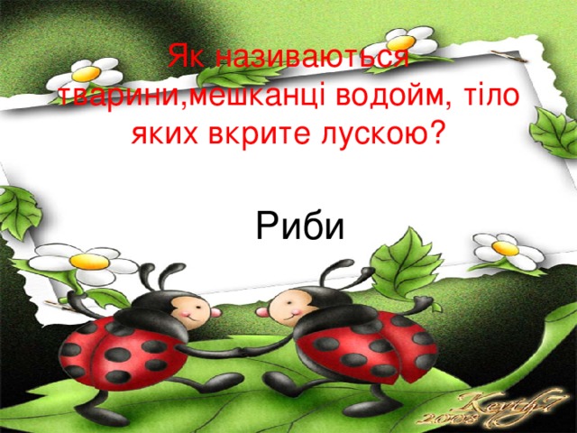   Як називаються тварини,мешканці водойм, тіло яких вкрите лускою? Риби 