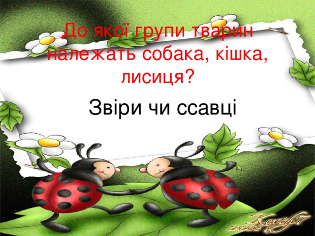   До якої групи тварин належать собака, кішка, лисиця? Зв і ри чи ссавці 