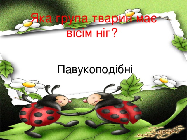  Яка група тварин має  вісім ніг?  Павукоподібні 