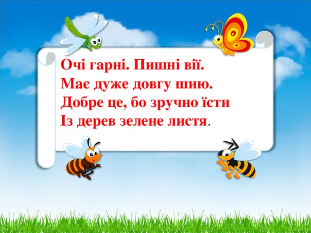 Очі гарні. Пишні вії.  Має дуже довгу шию.  Добре це, бо зручно їсти  Із дерев зелене листя .   