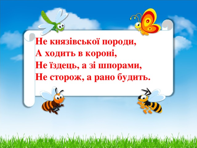 Не князівської породи,  А ходить в короні,  Не їздець, а зі шпорами,  Не сторож, а рано будить.     