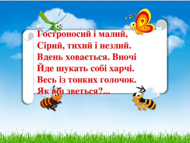 Гостроносий і малий,  Сірий, тихий і незлий.  Вдень ховається. Вночі  Йде шукать собі харчі.  Весь із тонких голочок.  Як він зветься?...    