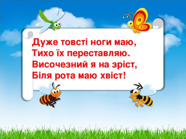 Дуже товсті ноги маю,  Тихо їх переставляю.  Височезний я на зріст,  Біля рота маю хвіст!    