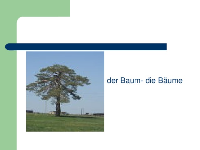  der Baum- die Bäume  